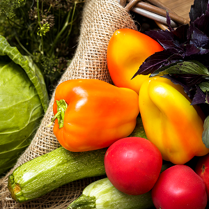 Дешевые сезонные продукты: где и когда покупать в Москве