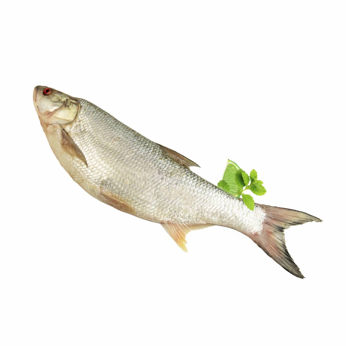 Купить белую свежую рыбу с доставкой по Москве — Белая рыба свежая Белая  рыба свежая на дом в интернет-магазине Apeti.ru