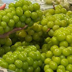 Почему винограда Шайн Мускат не будет в нашем каталоге?