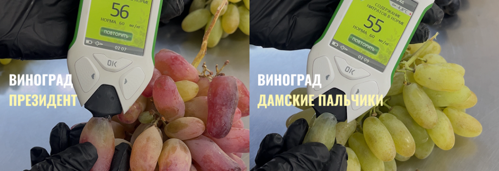 Проверили наш виноград на нитраты Фото для статьи блога