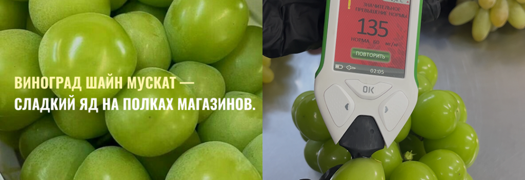 Виноград Шайн мускат фото для статьи блога