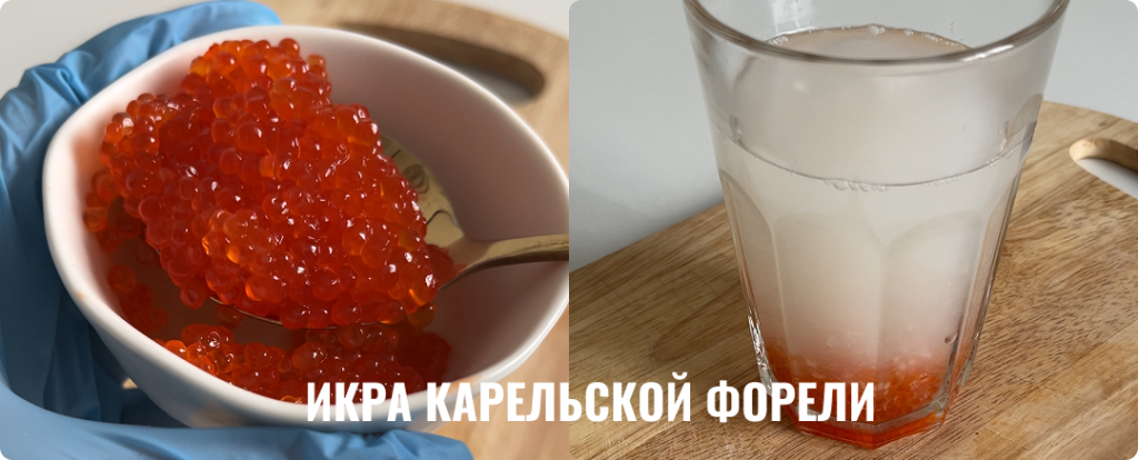 Икра карельской форели Картинка для статьи блога