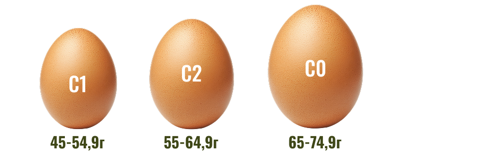 Какие яйца выбрать? фото для статьи блога