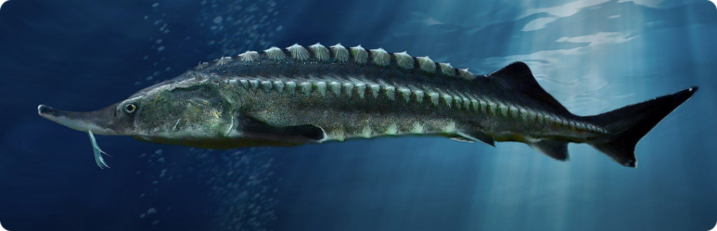 Фото для статьи блога