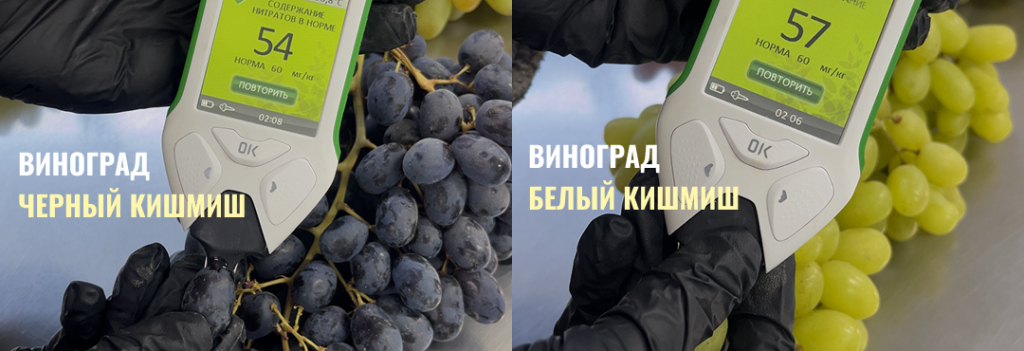 Проверили наш виноград на нитраты Фото для статьи блога