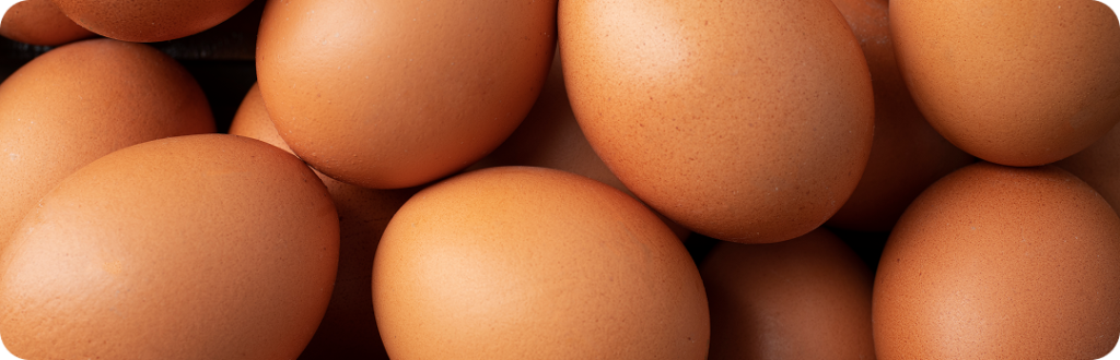 Какие яйца выбрать? фото для статьи блога