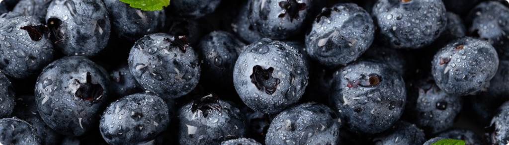 closeup-vertical-shot-blueberries-with-water-droplets-leaves (1).png