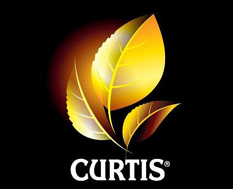 Curtis