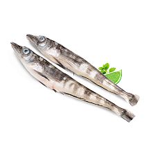 Ледяная рыба замороженная 250 + 1 кг