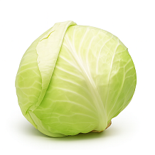 Капуста белокочанная Слава новый урожай 