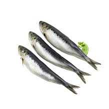 Иваси слабосоленая