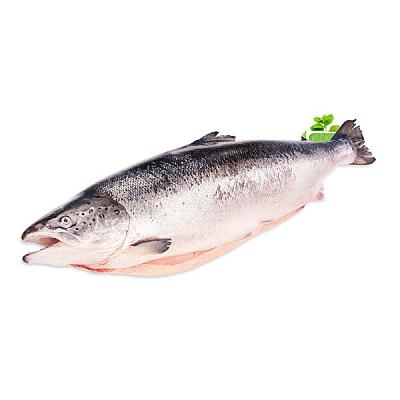  Семга целая охлажденная 6-7 (для продажи целой туши) в интернет-магазине свежих фермерских продуктов Apeti.ru