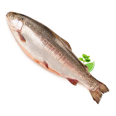 Форель карельская порционная охлажденная 200-300 г в Apeti.ru Форель карельская порционная охлажденная 200-300 г в интернет-магазине свежих фермерских продуктов Apeti.ru