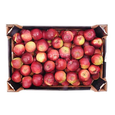  Яблоки спартан ОПТ в интернет-магазине свежих фермерских продуктов Apeti.ru