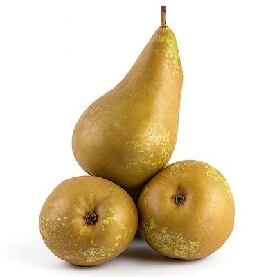  Груша Конференц в интернет-магазине свежих фермерских продуктов Apeti.ru