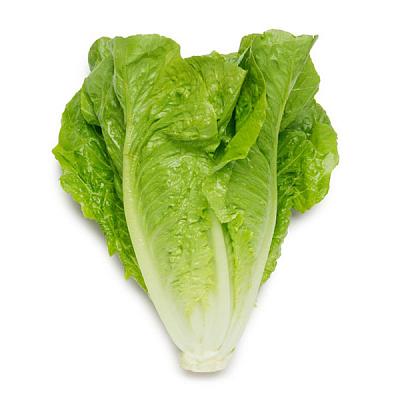 Салат романо 1 шт в Apeti.ru Салат романо 1 шт в интернет-магазине свежих фермерских продуктов Apeti.ru