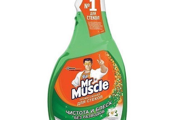  Средство для мытья стекол Mr.Muscle сменный флакон 500 мл  в интернет-магазине продуктов с Преображенского рынка Apeti.ru