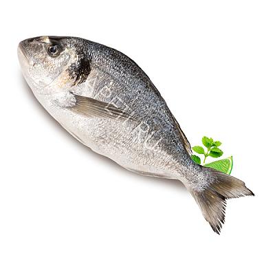  Дорадо охлажденная крупная в интернет-магазине свежих фермерских продуктов Apeti.ru