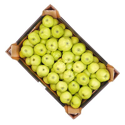 Яблоки богатырь ОПТ