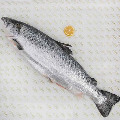  Семга (лосось) охлажденная, тушка 6-7 кг в интернет-магазине свежих фермерских продуктов Apeti.ru