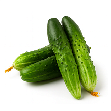 Огурцы ТСХА