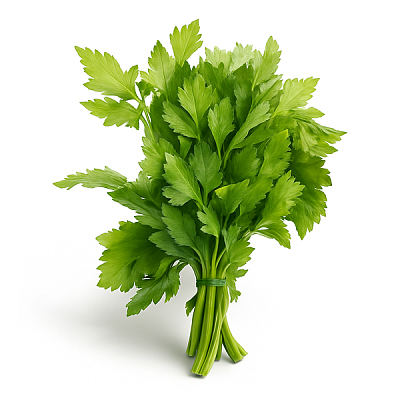  Сельдерей, листья в интернет-магазине свежих фермерских продуктов Apeti.ru