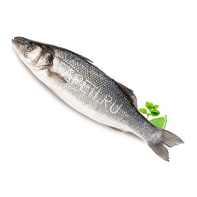 Сибас охлажденный КРУПНЫЙ 3-3,5 кг в Apeti.ru Сибас охлажденный КРУПНЫЙ 3-3,5 кг в интернет-магазине свежих фермерских продуктов Apeti.ru