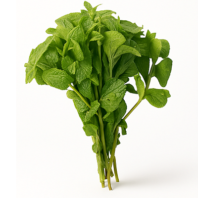  Мята в интернет-магазине свежих фермерских продуктов Apeti.ru