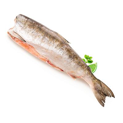  Кета без головы свежемороженая 2+ в интернет-магазине свежих фермерских продуктов Apeti.ru