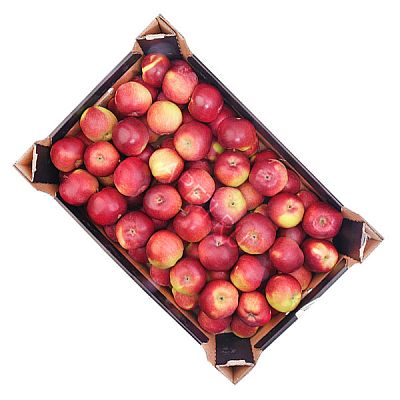 Яблоки малинка ОПТ