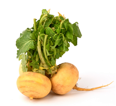 Репа молодая с ботвой пучок 