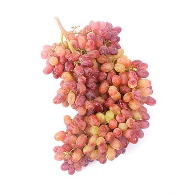 Виноград красный кишмиш в Apeti.ru Виноград красный кишмиш в интернет-магазине свежих фермерских продуктов Apeti.ru