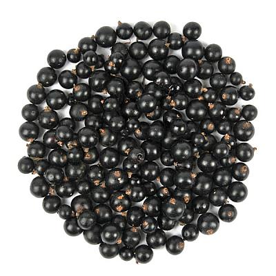  Смородина черная в интернет-магазине свежих фермерских продуктов Apeti.ru