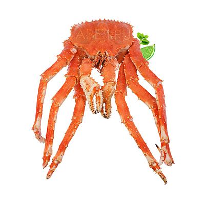 Краб камчатский подарочный в Apeti.ru Краб камчатский подарочный в интернет-магазине свежих фермерских продуктов Apeti.ru