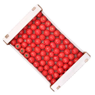  Помидоры дагестанские ОПТ в интернет-магазине свежих фермерских продуктов Apeti.ru