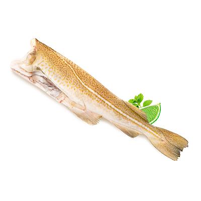  Треска мурманская замороженная 1+  кг в интернет-магазине свежих фермерских продуктов Apeti.ru