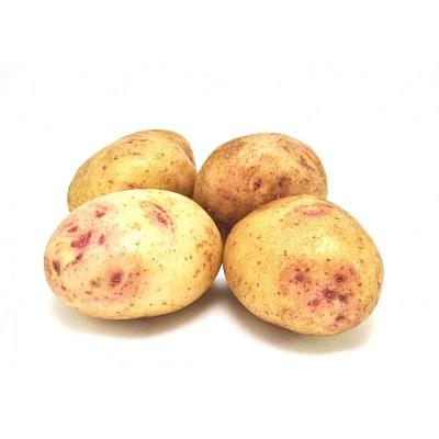  Картофель синеглазка мытая новый урожай в интернет-магазине свежих фермерских продуктов Apeti.ru