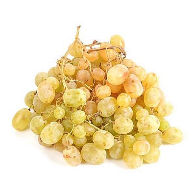 Виноград Тайфи 