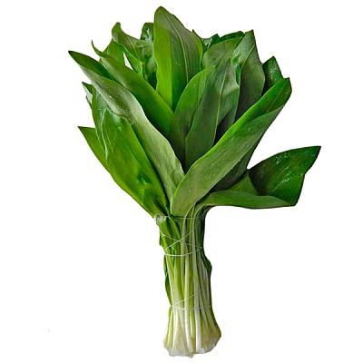  Черемша свежая (80-100 г) в интернет-магазине свежих фермерских продуктов Apeti.ru