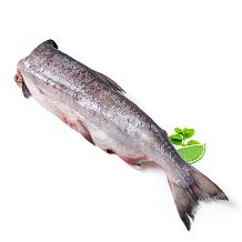 Кета свежемороженая