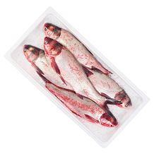 Толстолобик охлажденный ОПТ