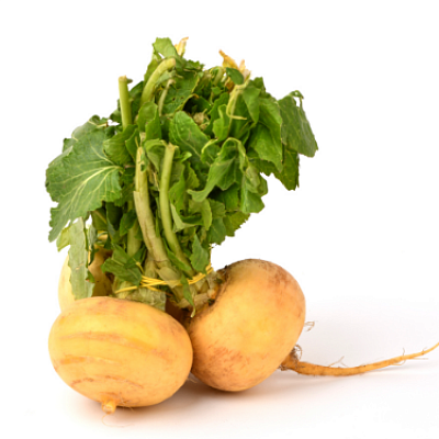  Репа молодая с ботвой пучок  в интернет-магазине свежих фермерских продуктов Apeti.ru