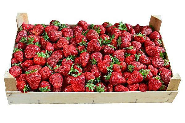  Клубника, ящик 3 кг в интернет-магазине продуктов с Преображенского рынка Apeti.ru