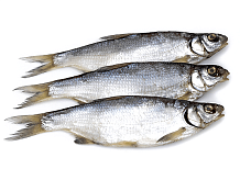 Рыбец вяленая крупная