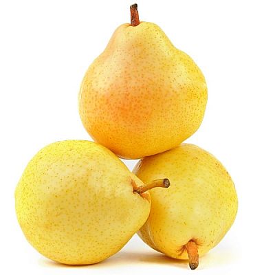 Груша Дюшес