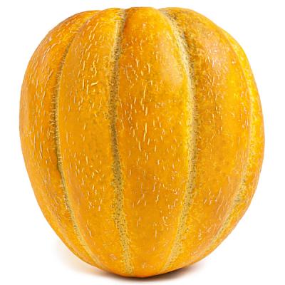 Дыня ромашка в Apeti.ru Дыня ромашка в интернет-магазине свежих фермерских продуктов Apeti.ru