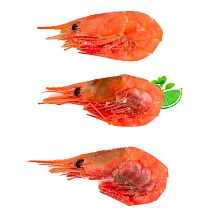 Креветки магаданские сухой заморозки 60-80 