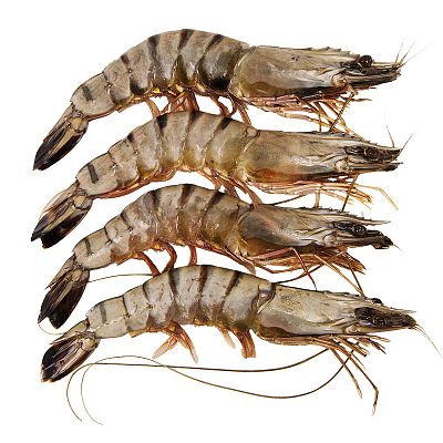 Креветки тигровые сухой заморозки с головой  20-30