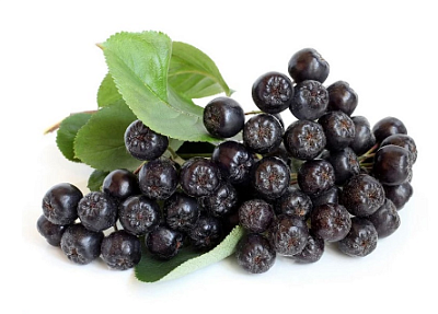 Рябина черная сезонная 700г