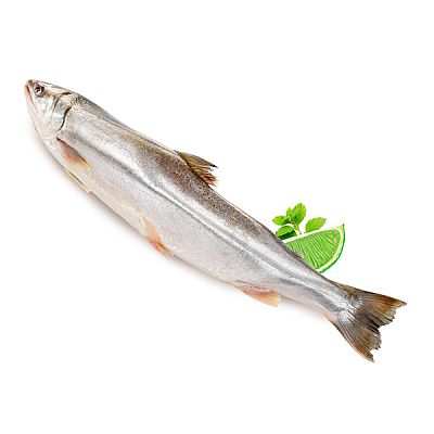 Голец замороженный ОПТ